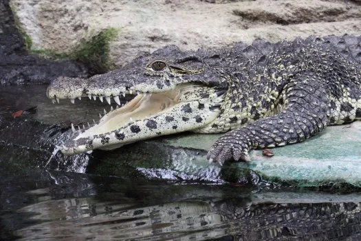 By: Roger Wasley Photography