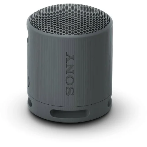 Sony SRS-XB100