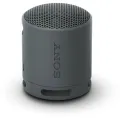 Sony SRS-XB100